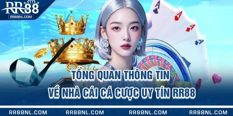 Tổng quan thông tin về nhà cái cá cược uy tín RR88