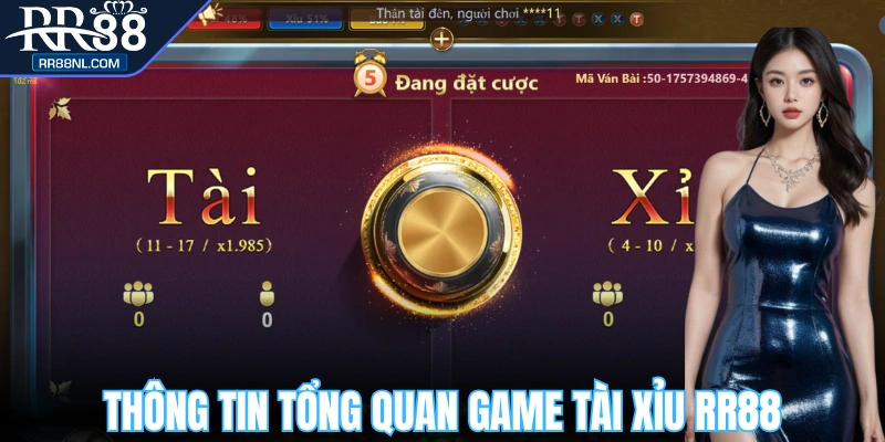 Thông tin tổng quan về game tài xỉu RR88